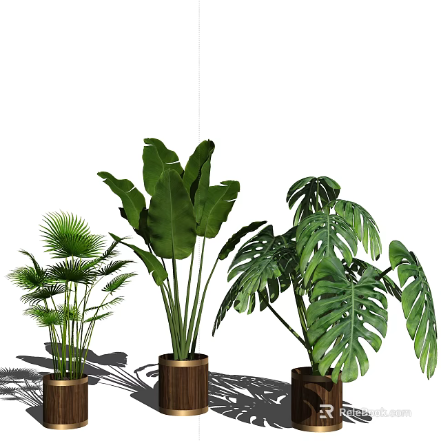 Indoor Potted Plants with Large Monstera Palm and Banana Leaves for Home Interior Decoration 3d model 