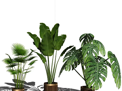 Indoor Potted Plants with Large Monstera Palm and Banana Leaves for Home Interior Decoration 3d model