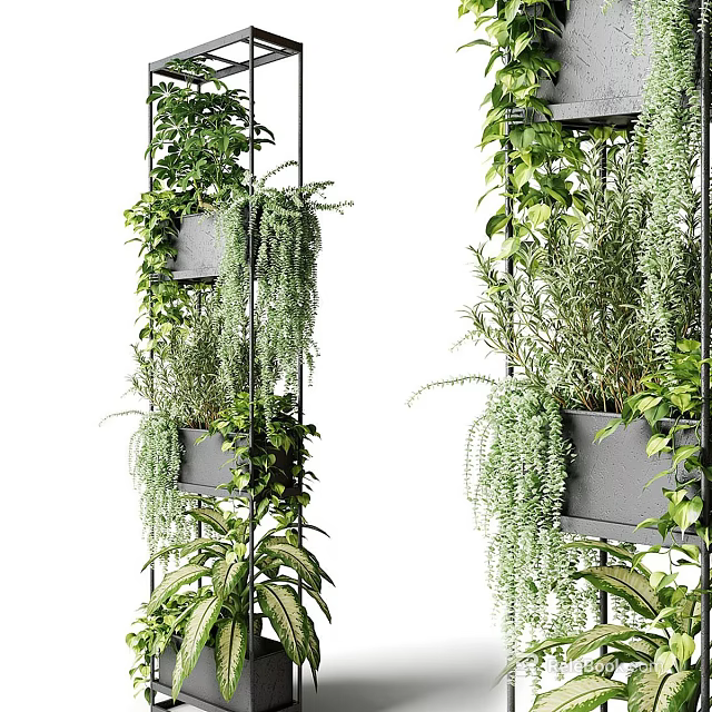 Modern Green Plant Wall With Gray Pots Hanging Plants And Metal Frame Design 3d model 