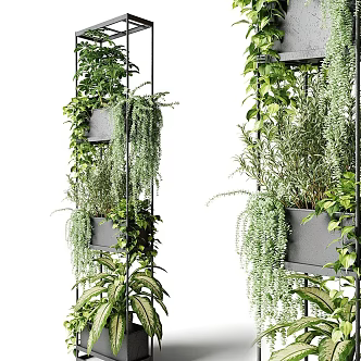 Plant wall 3d model