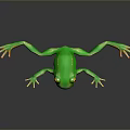 Vibrant Green Reptile With Orange Toes Resting On A Gray Background Surface