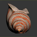 Marine Conch Animal Close Up View Of Shiny Spiral Shell With Orange And White Stripes