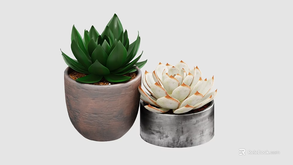 Green and White Leaf Succulent Plants in Brown Clay and Silver Metal Pots 3d model 