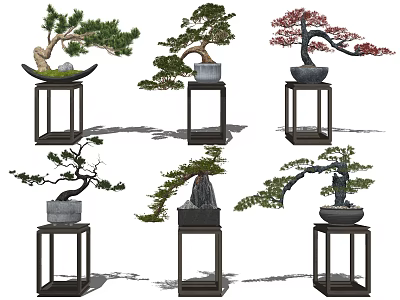 Decorative Bonsai Plants with Various Styles Different Shapes Colorful Foliage on Wooden Stands 3d model