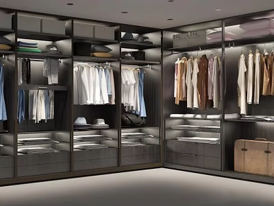Modern Walk in Closet Interior Design With Hanging Folded Clothes Shelves And Drawers 3d model