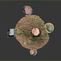 Natural Outdoor Decor Scene With Tree Stump Trunk Grass And Colorful Stones