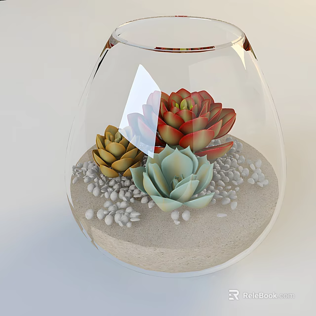 Transparent Glass Vase with Red Yellow Green Succulent Plants and White Pebbles and Sand 3d model 
