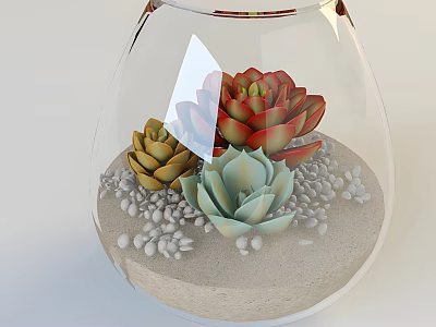 Transparent Glass Vase with Red Yellow Green Succulent Plants and White Pebbles and Sand 3d model