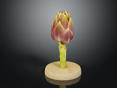 Fresh Purple and Green Artichoke Vegetable Displayed On Wooden Base Against Dark Background 3d model