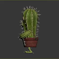 Cute cartoon cactus plant featuring big eyes red pot green feet and LOVE HUGS text