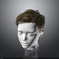 White Human Head Model With Brown Short Hair And Visible Facial Organs 3d model