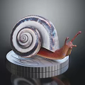 Snail With Striped Spiral Shell On Silver Euro Coin Isolated On Dark Background