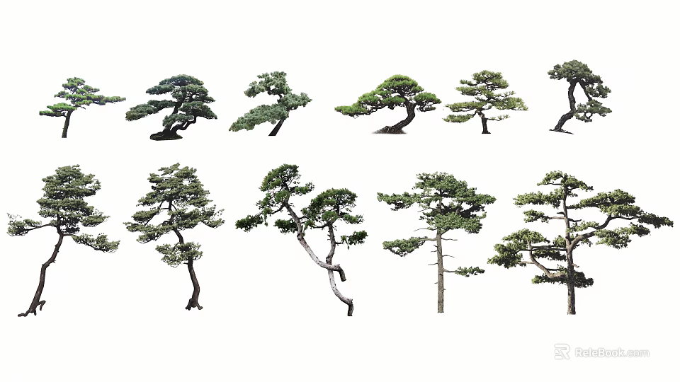 Various Ornamental Arbor Trees Featuring Unique Shapes And Diverse Silhouettes 3d model 