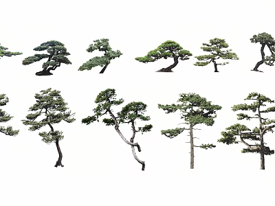 Various Ornamental Arbor Trees Featuring Unique Shapes And Diverse Silhouettes 3d model
