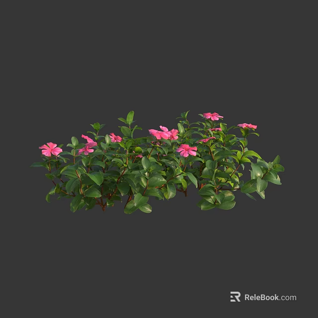 Vibrant Pink Flowers And Lush Green Leaves On Fresh Garden Shrub With Healthy Foliage Plant 3d model 