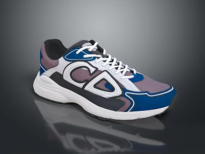 Modern Colorful Casual Sports Sneakers With Blue Purple White Black Design And CD Logo 3d model