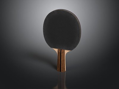 racket table tennis racket old racket sports equipment fitness equipment sports equipment exercise equipment sports 3d model