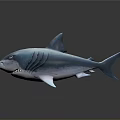 Realistic Shark 3D Model With Blue Gray Color Fins And Detailed Texture On Dark Background