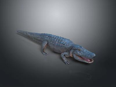 Realistic Blue Crocodile Reptile 3D Model With Open Mouth And Scaly Texture On Gray Background 3d model