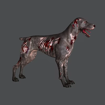 Modern Dog Hound 3d model