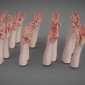 Man's White Arms in Different Poses and Positions on Gray Background
