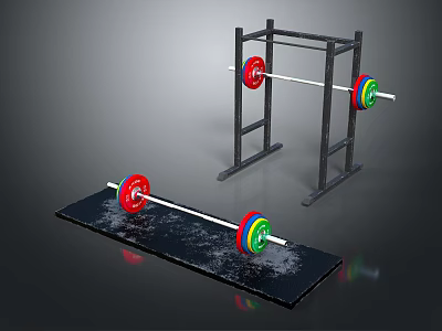 Essential Home Gym Fitness Equipment With Barbells Weight Rack And Exercise Mat 3d model