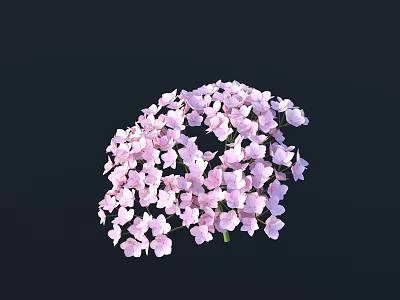 Light Purple Hydrangea Bloom With Dense Soft Colored Flowers On Dark Background 3d model