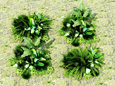 Lush Green Plants With Large Leaves And Ferns Growing On Grassland 3d model