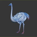 White Ostrich Bird With Red Beak And Orange Feet On Gray Background