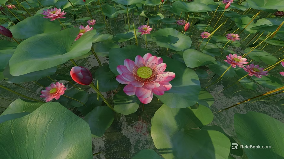 Beautiful Pink Lotus Flowers With Green Lily Pads In Serene Pond Scenery 3d model 
