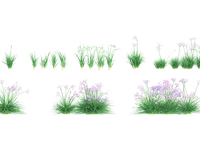 Modern Flower Garlic 3d model Modern Flower Garlic 3d model