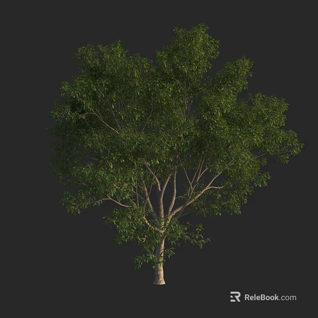 Tall Arbor Featuring Lush Green Foliage and Strong Branches in Natural Form 3d model 