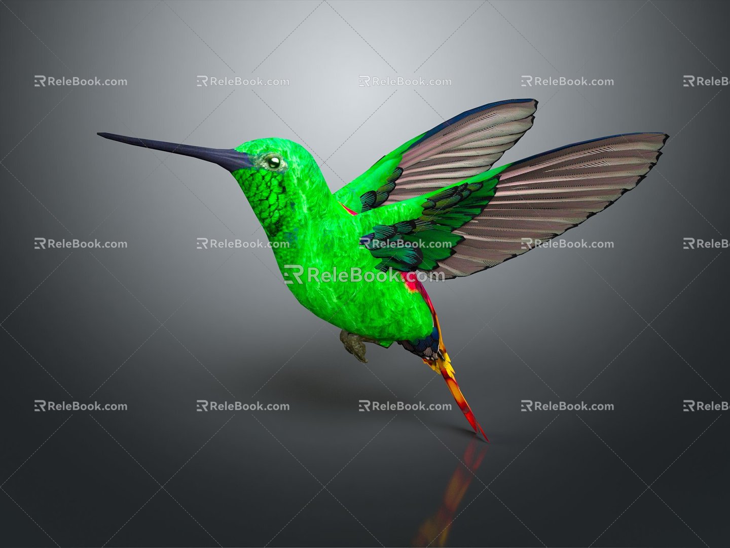 Modern Hummingbird Birds 3d model