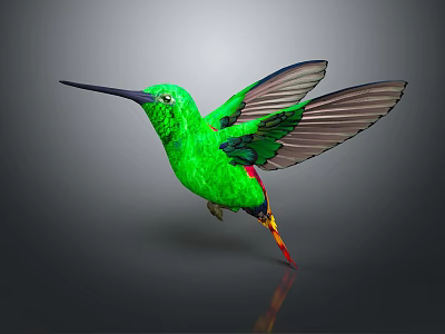 Green Hummingbird With Long Beak And Spread Wings Flying In Air 3d model
