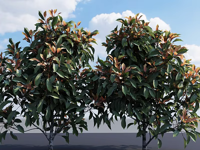 Lush Healthy Shrubs With Green And Bronze Leaves Against Blue Sky With Clouds 3d model