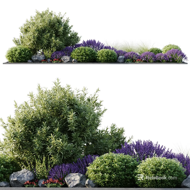 Lush Green Shrubs And Purple Lavender In Modern Garden Landscaping 3d model 
