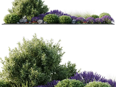 Lush Green Shrubs And Purple Lavender In Modern Garden Landscaping 3d model