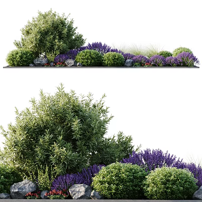 Lush Green Shrubs And Purple Lavender In Modern Garden Landscaping 3d model