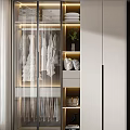 Modern Built in Wardrobe Interior Design With Glass Doors Hanging Clothes Shelves And Lighting