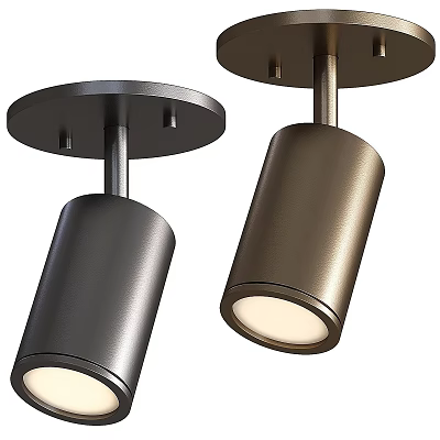 Modern Cylindrical Black and Bronze Metal Downlights and Spotlights for Ceiling Lighting 3d model