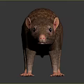 Cartoon Mouse Animated Mouse Grey Mouse Anime Mouse Cartoon Character 3d model