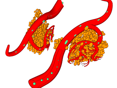 Modern vascular medical organs blood vessel connected cells model