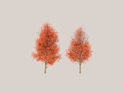 Two Trees With Vibrant Red Leaves And Brown Trunks Against Gray Background 3d model