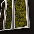 Vertical Moss Wall Design with Different Green Shades and Metallic Frames 3d model