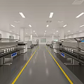 Modern Industrial Workshop Interior With Neatly Arranged Production Line Equipment And Yellow Dividing Lines