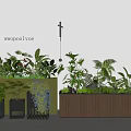 Modern Plant Combination Featuring Ferns Green Foliage Wooden Planters And Black Pots