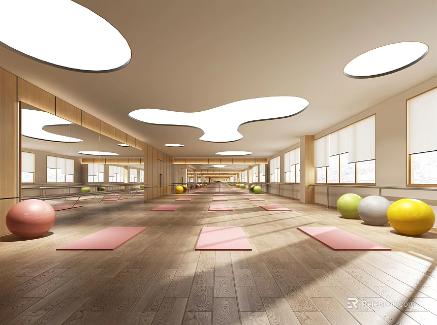 Spacious Yoga Studio With Pink Yoga Mats Colorful Yoga Balls And Natural Lighting Through Windows 3d model 