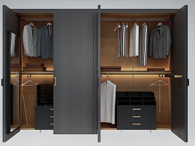 Modern wardrobe 3d model