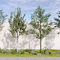Lush Arbor Trees With Shadows Against White Wall Stones Grass And Blue Sky