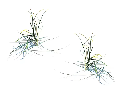 Two Graceful Grass Plants With Slender Green Leaves And Blue Yellow Details On White Background 3d model